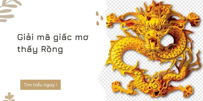 Giải mã thông tin cơ bản về mơ thấy rồng 