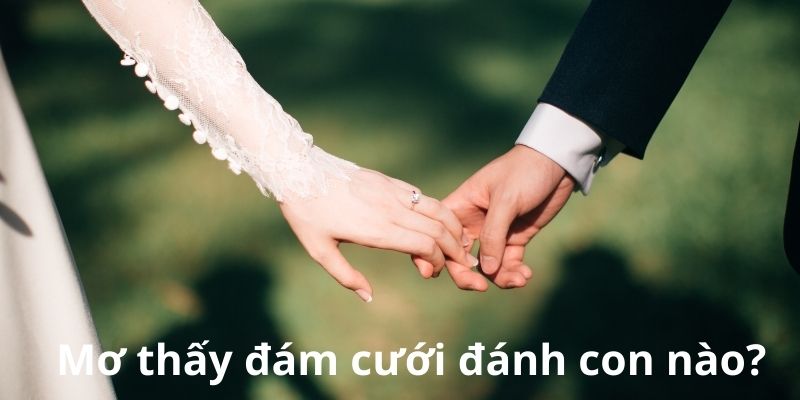 Con số may mắn liên quan