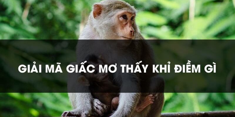 Giải mã ý nghĩa khỉ xuất hiện trước mặt bạn là như thế nào? 